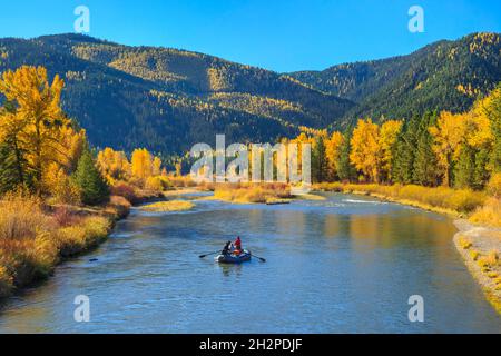 rafles et couleurs d'automne le long de la rivière clark fork dans le parc régional beavertail hill près de clinton, montana Banque D'Images