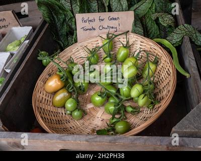 Exposition de la ferme exposition de tomates « Crimson Plum » Solanum lycopersicum L. « parfait pour le chutney de tomates vertes » dans un panier à vendre. Banque D'Images