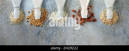 Des sortes de lait végétalien de riz, de soja, de noix de coco, d'amandes et d'avoine, des parties de bouteille et des ingrédients vus d'en haut sur fond de pierre bleu gris, casserole Banque D'Images