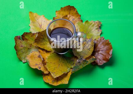 café dans une tasse de verre, décoré de feuilles de peuplier jaune d'automne sur fond vert Banque D'Images