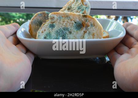 Homme main tenant quelques tranches de pain moulées dans une plaque en céramique blanche.Les aliments sont périmés et gaspillés Banque D'Images