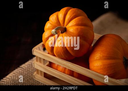 Citrouilles dans une boîte rustique.Les citrouilles sont largement cultivées pour un usage commercial et à des fins alimentaires, esthétiques et récréatives.Beaucoup consommé sur Thanksgivi Banque D'Images