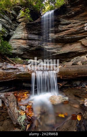 Moore Cove Falls - Pisgah National Forest, Brevard, Caroline du Nord, États-Unis Banque D'Images