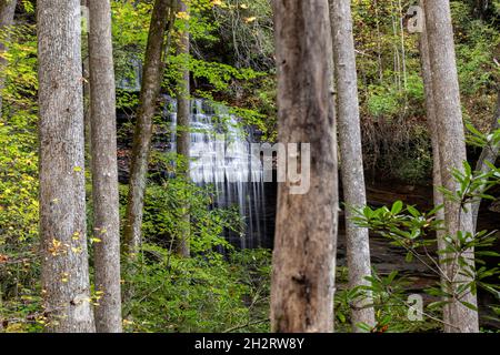 Moore Cove Falls encadrées par la forêt - Pisgah National Forest, Brevard, Caroline du Nord, États-Unis Banque D'Images