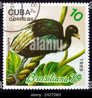 CUBA - VERS 1989 : un timbre imprimé à Cuba montre un trompettiste à ailes pâles, psophia leucoptera, oiseau exotique, vers 1989 Banque D'Images