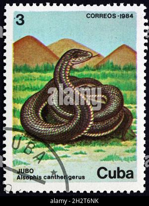 CUBA - VERS 1984 : un timbre imprimé à Cuba montre alsopis cantherigerus, serpent, vers 1984 Banque D'Images