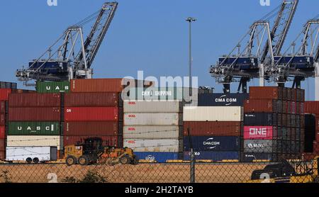 Savannah, États-Unis.23 octobre 2021.Les conteneurs d'expédition sont empilés sous des grues au port de Savannah en Géorgie.La crise de la chaîne d'approvisionnement a créé un arriéré de près de 80,000 conteneurs d'expédition dans ce port, le troisième plus grand port à conteneurs des États-Unis, avec environ 20 navires ancrés au large de la côte atlantique, attendant de décharger leur cargaison.Une pénurie de chauffeurs routiers pour transporter des marchandises des entrepôts aux détaillants a entraîné l'acheminement des conteneurs d'expédition au port.Crédit : SOPA Images Limited/Alamy Live News Banque D'Images