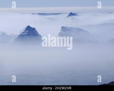 vue mystique von icebergs dans le brouillard dans l'arctique Banque D'Images