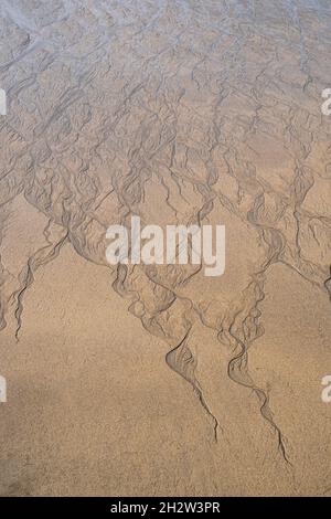 Taches de rivulet d'eau sur sable humide sur la plage Banque D'Images
