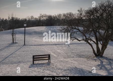 Parc urbain en hiver froid, banc simple, arbre, et neige couvert de terrain vallonné sans personne autour. Banque D'Images