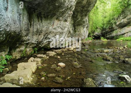 Chee Dale.Des pierres sur la rivière Wye dans la gorge de calcaire de Chee Dale, parc national de Peak District, Derbyshire, Royaume-Uni Banque D'Images