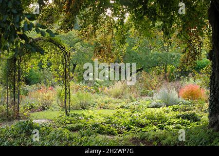 Plantes vivaces.Une arche de jardin ponctue les lits de plantes vivaces en automne.ROYAUME-UNI Banque D'Images