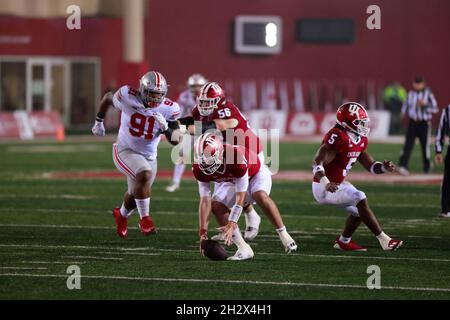 BLOOMINGTON, ÉTATS-UNIS - 2021/10/23: Le quarterback de l'Indiana Hoosiers Jack Tuttle (14) s'empresse d'un fumet contre l'État de l'Ohio lors d'un match de football de la NCAA le 16 octobre 2021 au Memorial Stadium de Bloomington, dans l'État de l'Ohio, contre l'université de l'Indiana 54-7. Banque D'Images