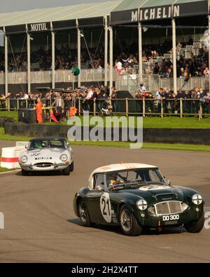 Octobre 2021 - course à la réunion des membres de Goodwood 78 Banque D'Images