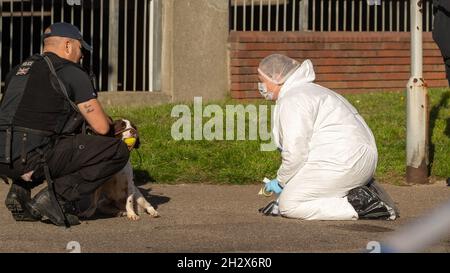 Brentwood Essex, Royaume-Uni.24 octobre 2021.Une enquête de meurtre importante menée par la police d'Essex à Brentwood à la suite des deux meurtres commis dans la ville.Crédit : Ian Davidson/Alay Live News Banque D'Images