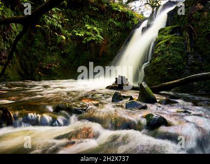 Double cascade sur Venford Brook affluent de la rivière Dart sur Dartmoor Devon UK Banque D'Images