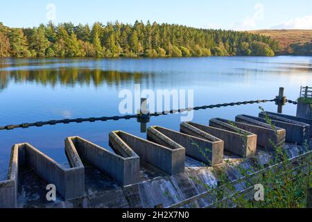 Venford Reservoir sur East Dartmoor à Devon, Royaume-Uni Banque D'Images