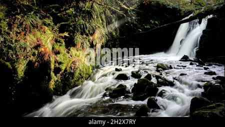 Double cascade sur Venford Brook affluent de la rivière Dart sur Dartmoor Devon UK Banque D'Images