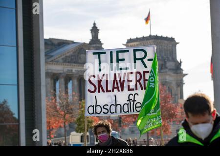 Veganer vor dem Reichstag: Tiersklaverei abschaffen.AM 24.Oktober 2021 versammelten sich hunderte Aktivist*innen vor dem Paul-Löbe-Haus à Berlin, UM für internationale Solidarität zu demonstrieren.An dem Bündnis waren Klima, Umwelt, Antirassismus und kapitalismuskritische Gruppen die Partei Die Linke beteiligt.- le 24 octobre, 2021 centaines de personnes se sont rassemblées à Berlin, en Allemagne, pour protester contre la solidarité internationale.Dans l'alliance étaient le climat, l'environnement, l'antiraciste et les groupes critiques du capitalisme.(Photo par Alexander Pohl/Sipa USA) Banque D'Images