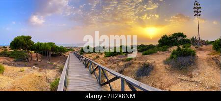 Dunes de sable donnant accès à la plage de la Barrosa à Sancti Petri au coucher du soleil, Cadix, Espagne. Banque D'Images