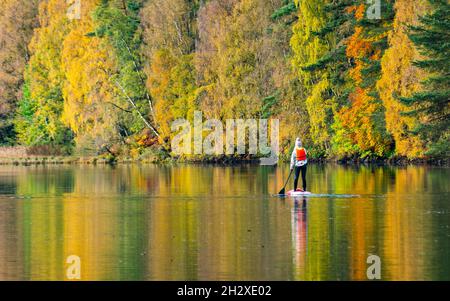 Pitlochry, Écosse, Royaume-Uni.24 octobre 2021.Un pédalo sur le Loch Faskally bénéficie de la tranquillité de leur environnement tandis que les couleurs automnales vives de la forêt environnante se reflètent dans l'eau.Iain Masterton/Alay Live News. Banque D'Images