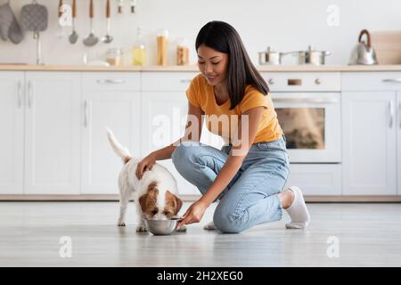 Une femme coréenne affectueuse qui pille son chien tout en le nourrissant Banque D'Images