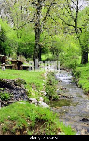 Guadalquivir à travers le parc national de Cazorla - Jaen Banque D'Images