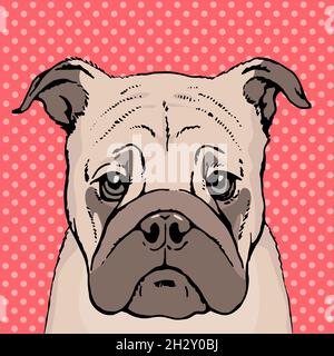 Portrait dessiné d'un visage de chien pug.Animal mignon.Croquis à la plume et à l'encre sur fond rouge.Illustration vectorielle pop art Illustration de Vecteur