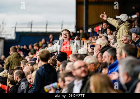 Luton, Royaume-Uni.25 juin 2021.Luton Town Supporters lors du match de championnat Sky Bet entre Luton Town et Hull City à Kenilworth Road, Luton, Angleterre, le 23 octobre 2021.Photo de David Horn.Crédit : Prime Media Images/Alamy Live News Banque D'Images