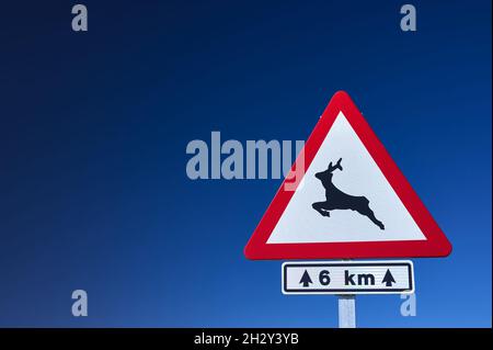 détail d'un panneau de signalisation de danger de passage d'animaux contre un ciel bleu Banque D'Images