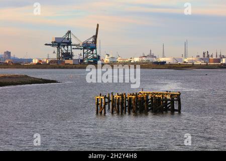 Une vieille jetée en bois dans la rivière Tees avec des grues et une raffinerie de pétrole en arrière-plan, Middlesbrough, North Yorkshire, Angleterre, Royaume-Uni. Banque D'Images