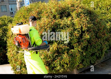 Dnepropetrovsk, Ukraine - 10.05.2021 : un employé du service municipal de la ville pulvérise des usines du paysage urbain. Banque D'Images