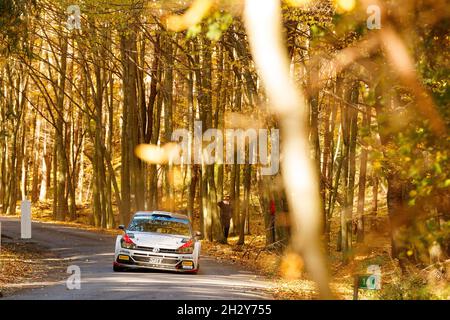 Nyiregyhaza, Hongrie, 24/10/2021, 08 GRYAZIN Nikolay (RUS), ALEKSANDROV Konstantin (RUS), Nikolay Gryazin, Volkswagen Polo GTI R5, action lors du rallye FIA 2021 Hongrie, 7e tour du championnat européen de rallye FIA 2021, du 21 au 24 octobre 2021, à Nyiregyza, DPIC et Grégyza, Hongrie Banque D'Images