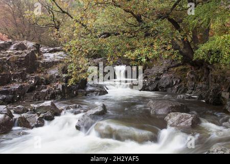 La chute d'eau de la Force Galleny dans la vallée de Stonethwaite, dans le district de English Lake Banque D'Images