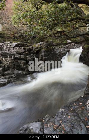 La chute d'eau de la Force Galleny dans la vallée de Stonethwaite, dans le district de English Lake Banque D'Images