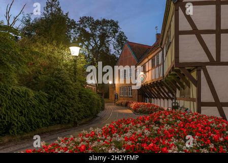 Maisons à colombages et fleurs rouges à Ystads frivillige bergnings corpus, Ystad (Suède), 14 septembre 2021 Banque D'Images