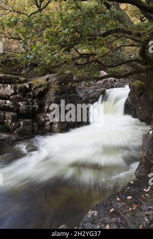 La chute d'eau de la Force Galleny dans la vallée de Stonethwaite, dans le district de English Lake Banque D'Images