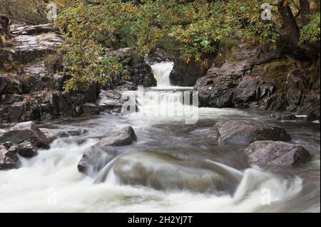 La chute d'eau de la Force Galleny dans la vallée de Stonethwaite, dans le district de English Lake Banque D'Images