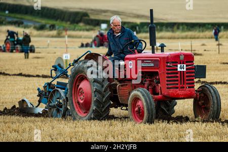 Un tracteur d'époque labourage de sillon au 70e championnat britannique de labourage, Mindrum Mill, Northumberland, Angleterre, Royaume-Uni Banque D'Images