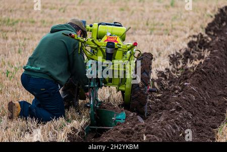 Homme fixant une charrue à main laboueuse de sillon lors du 70e championnat britannique de labourage, Mindrum Mill, Northumberland, Angleterre, Royaume-Uni Banque D'Images