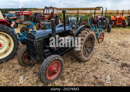 Des tracteurs d'époque au 70e championnat britannique de labour, Mindrum Mill, Northumberland, Angleterre, Royaume-Uni Banque D'Images