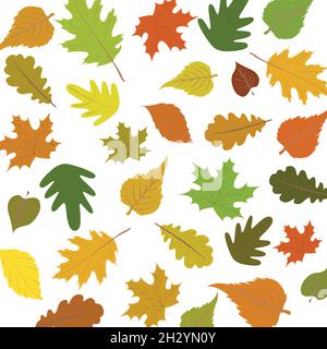 Feuilles d'automne isolées sur fond blanc - illustration vectorielle Illustration de Vecteur