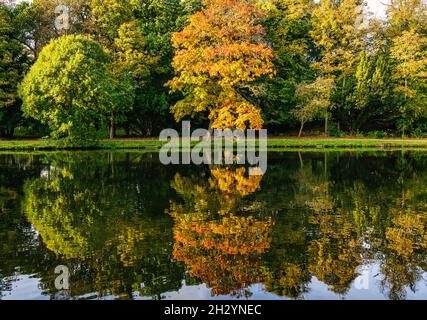 Arbres d'automne colorés se reflétant dans l'eau du lac artificiel, Gosford Estate, East Lothian, Écosse, Royaume-Uni Banque D'Images