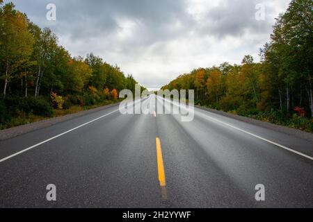 Une route à deux voies d'asphalte noir humide foncé avec une ligne jaune simple en bas du milieu.Il y a des arbres d'automne colorés des deux côtés.Il y a un ciel bleu Banque D'Images