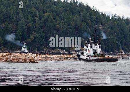 Deux remorqueurs, CT Titan et Hustler II, travaillent ensemble, poussant une rampe de bois pour la déplacer le long de la rive de l'île boisée de Valdes, en Colombie-Britannique. Banque D'Images