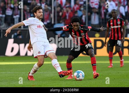 Cologne, Allemagne.24 octobre 2021.Jeremie Frimpong (R) de Leverkusen vit avec Jonas Hector de Cologne lors de la première division allemande Bundesliga football match entre le FC Cologne et Bayer 04 Leverkusen à Cologne, Allemagne, 24 octobre 2021.Crédit: Ulrich Hufnagel/Xinhua/Alamy Live News Banque D'Images