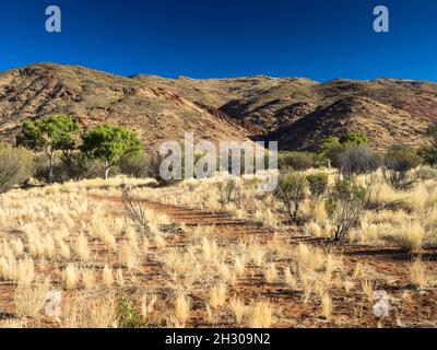 Voie d'accès à la base des crêtes nord du Mont Zeil / Urlatherrke et de la chaîne des montagnes West Macdonnell, territoire du Nord. Banque D'Images