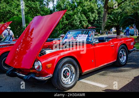 Un TR6 Triumph 1974 est exposé au 31e festival annuel de l'automobile britannique, le 24 octobre 2021, à Fairhope, Alabama. Banque D'Images