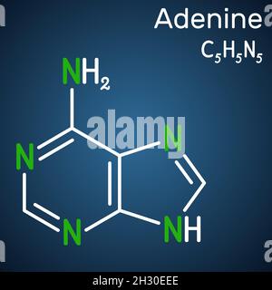 Adénine, molécule d'Ade.Il s'agit de la nucléobase de la purine, unité fondamentale du code génétique de l'ADN et de l'ARN.Formule chimique structurelle sur le dos bleu foncé Illustration de Vecteur