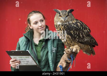 Le gardien de but Shannon avec Max the Eagle Owl lors de la sortie annuelle du zoo de Londres ZSL, au zoo de Londres.Date de la photo: Mercredi 7 février 2018.Le crédit photo devrait se lire: David Jensen/ EMPICS Entertainment Banque D'Images